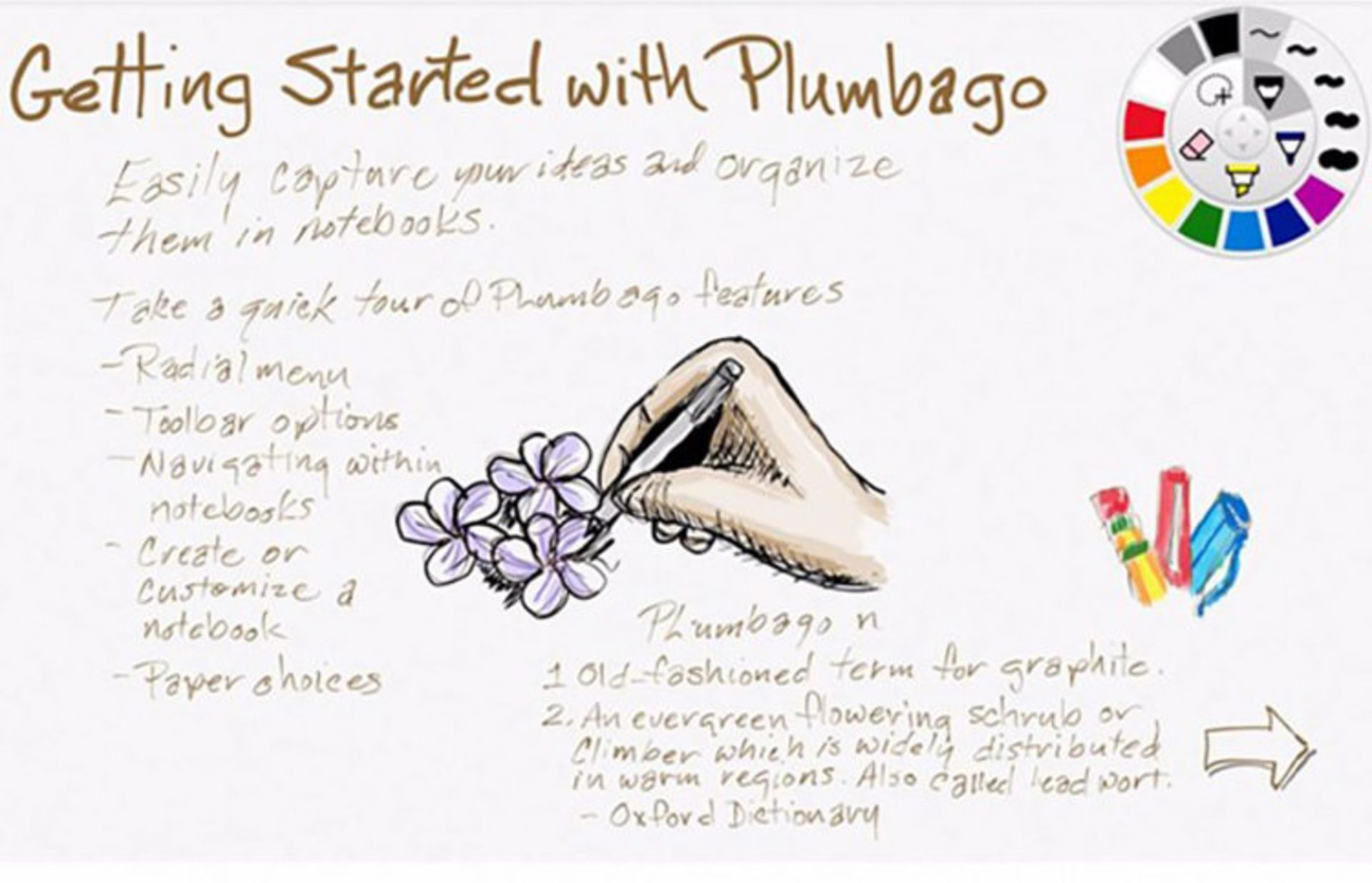 Plumbago