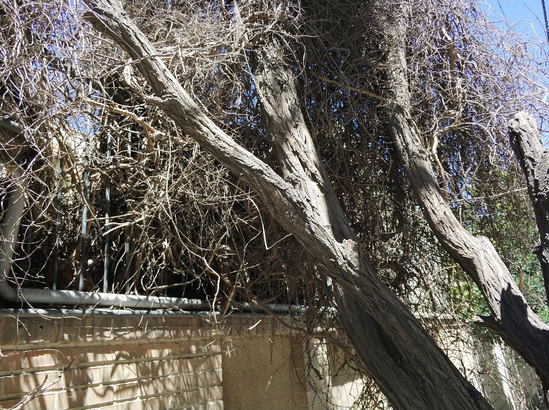 نمونه عکس دوربین شیائومی می ۶