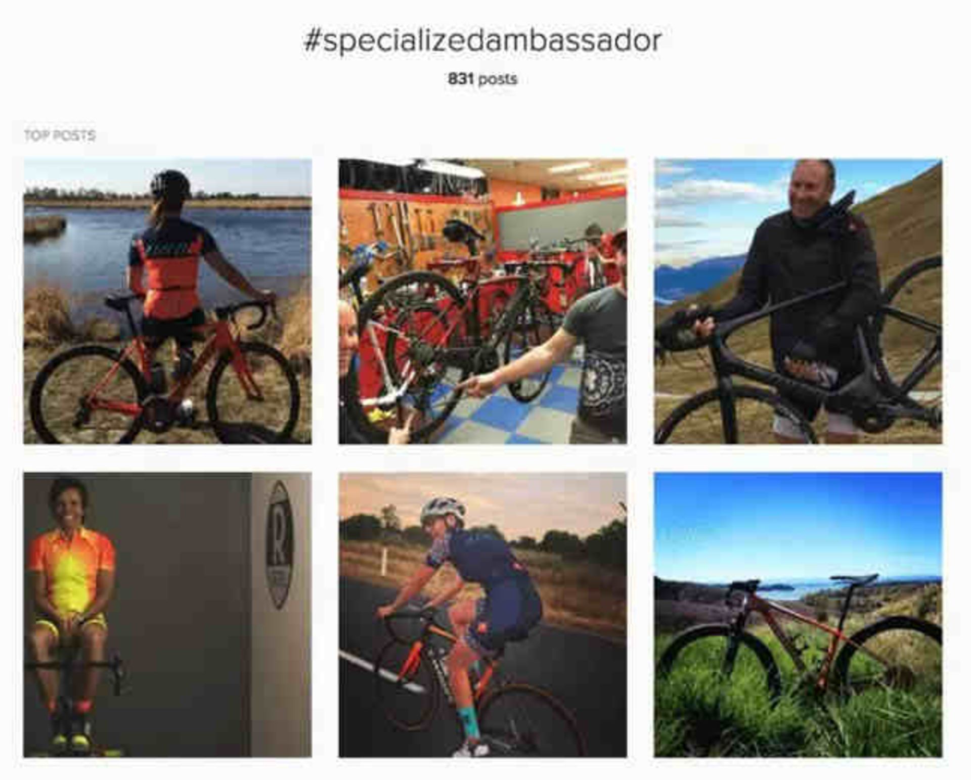 specializedambassador