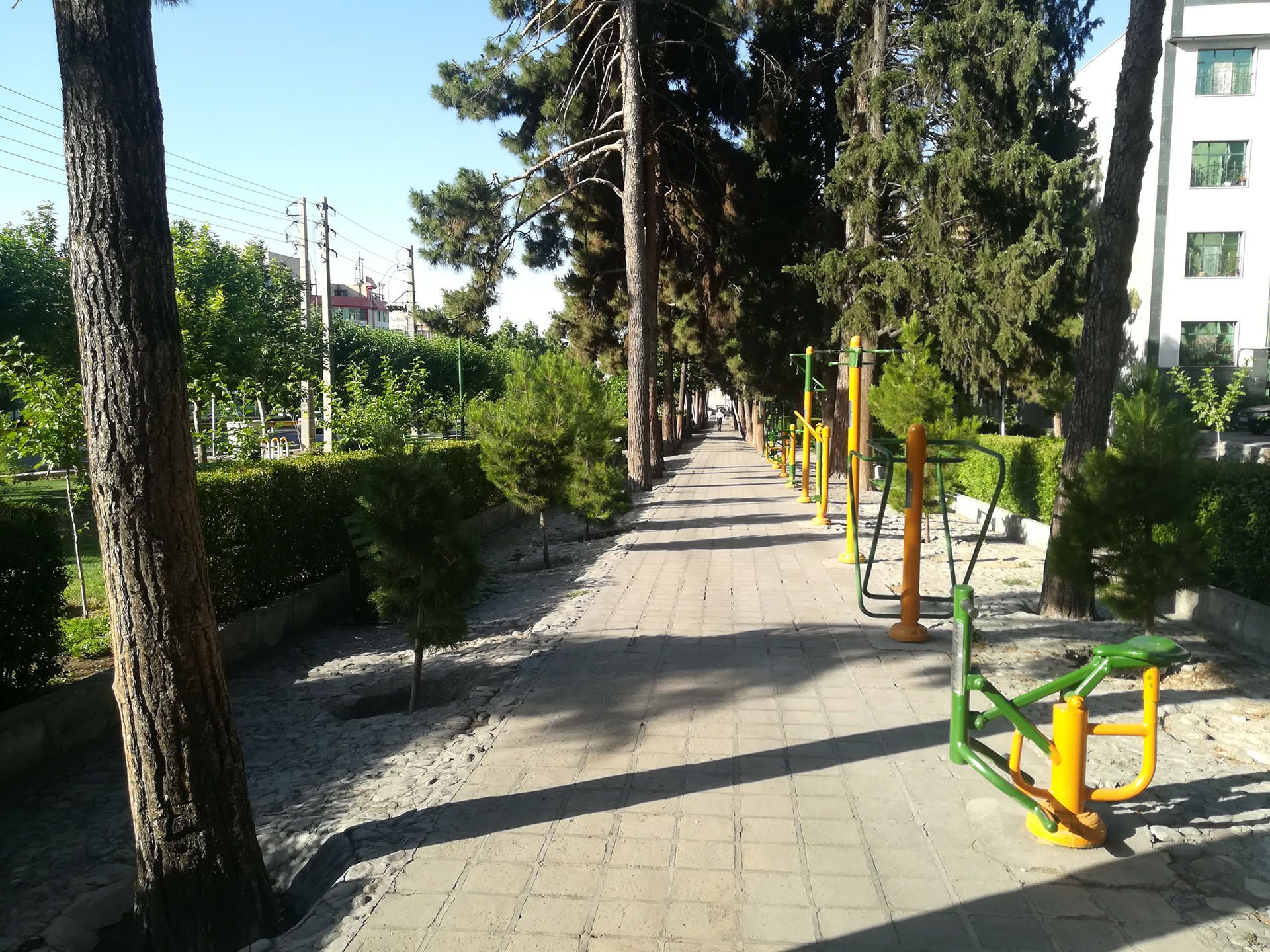 نمونه عکس دوربین هواوی پی 10 لایت