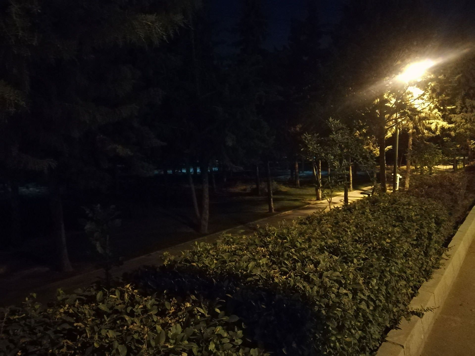 نمونه عکس دوربین هواوی پی 10 لایت