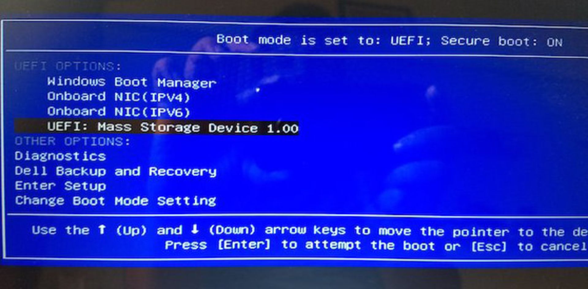 run-chrome-os-usb-windows-boot