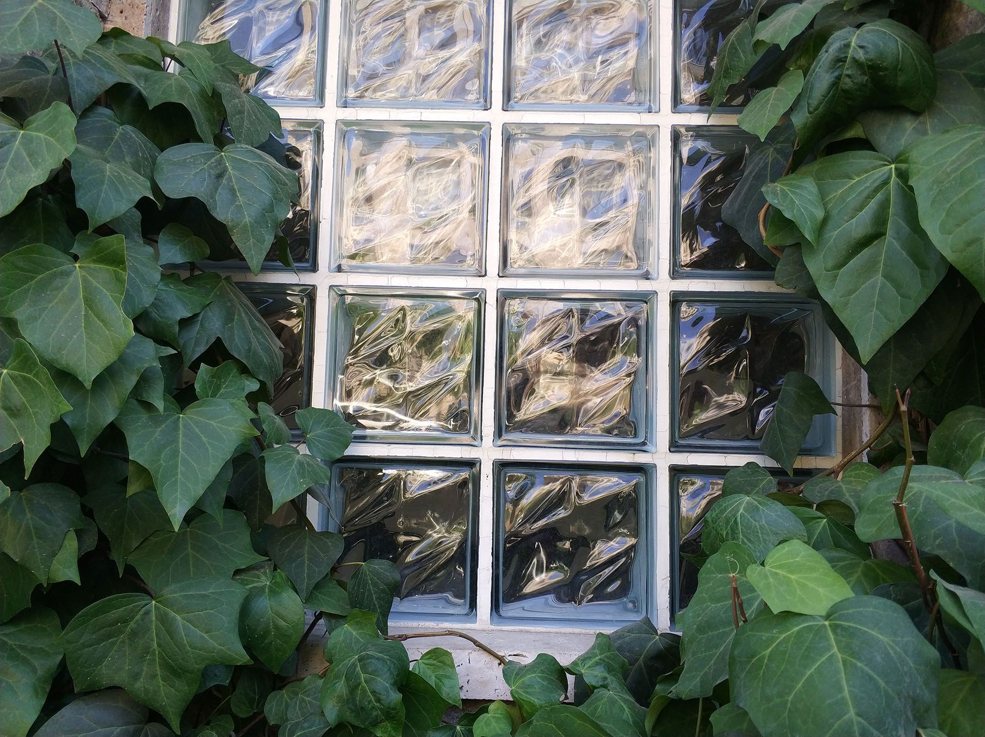 نمونه عکس دوربین شیائومی می ۶