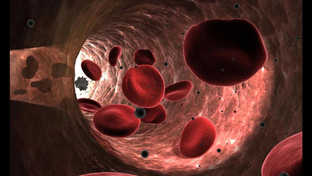blood micro