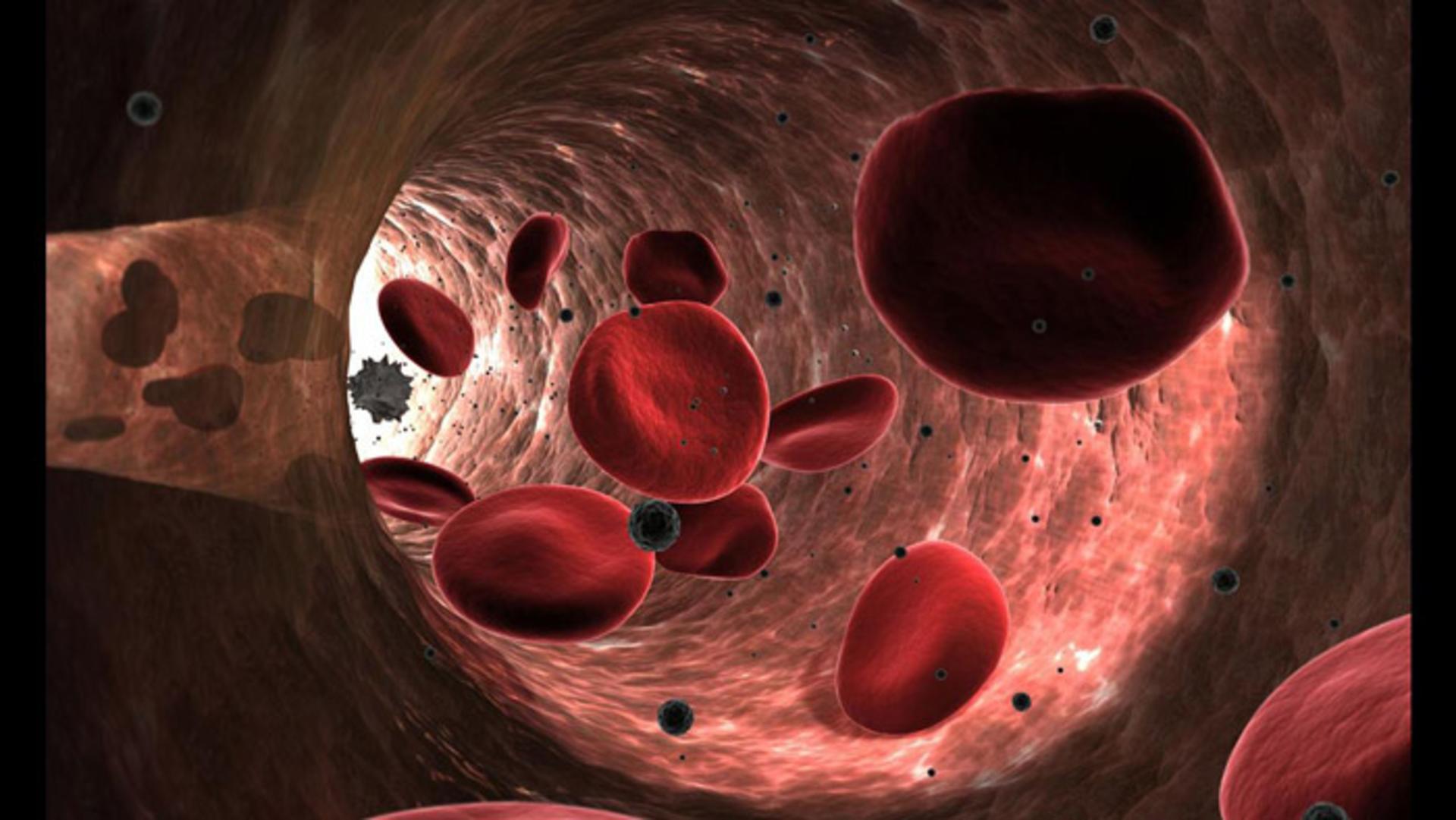 blood micro