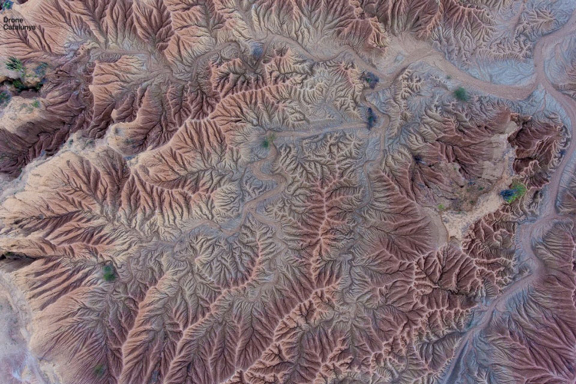 Tatacoa Desert, Colombia