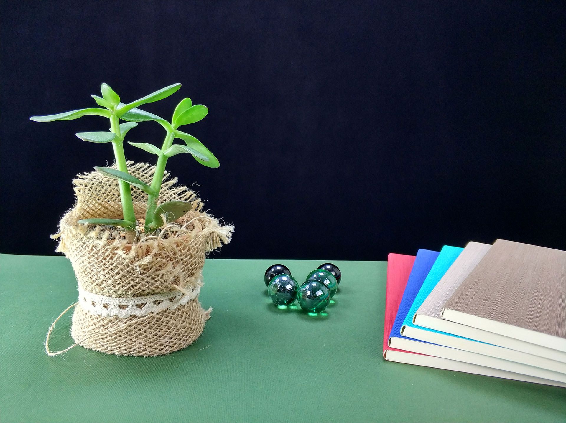 نمونه عکس دوربین شیائومی می ۶