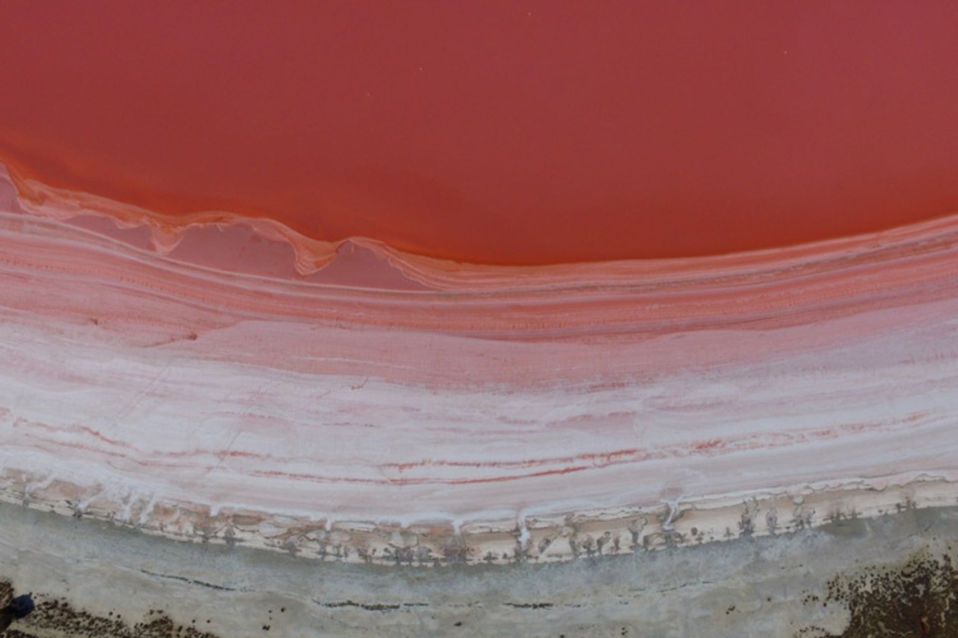 Pink Lake, Western Australia