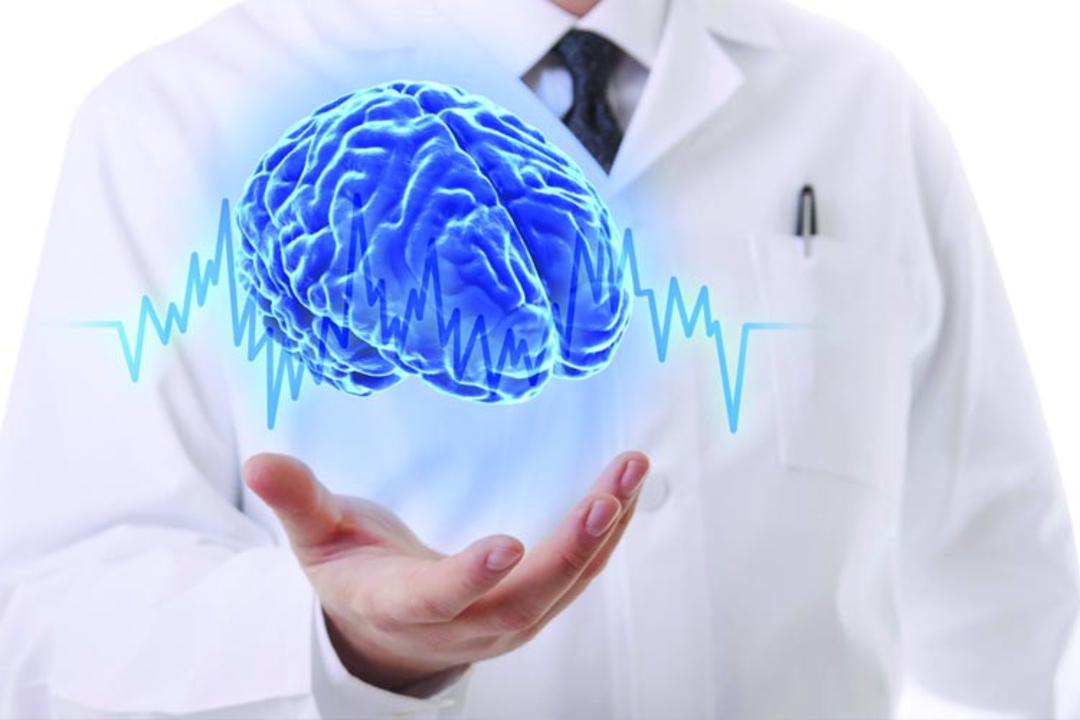 Brain