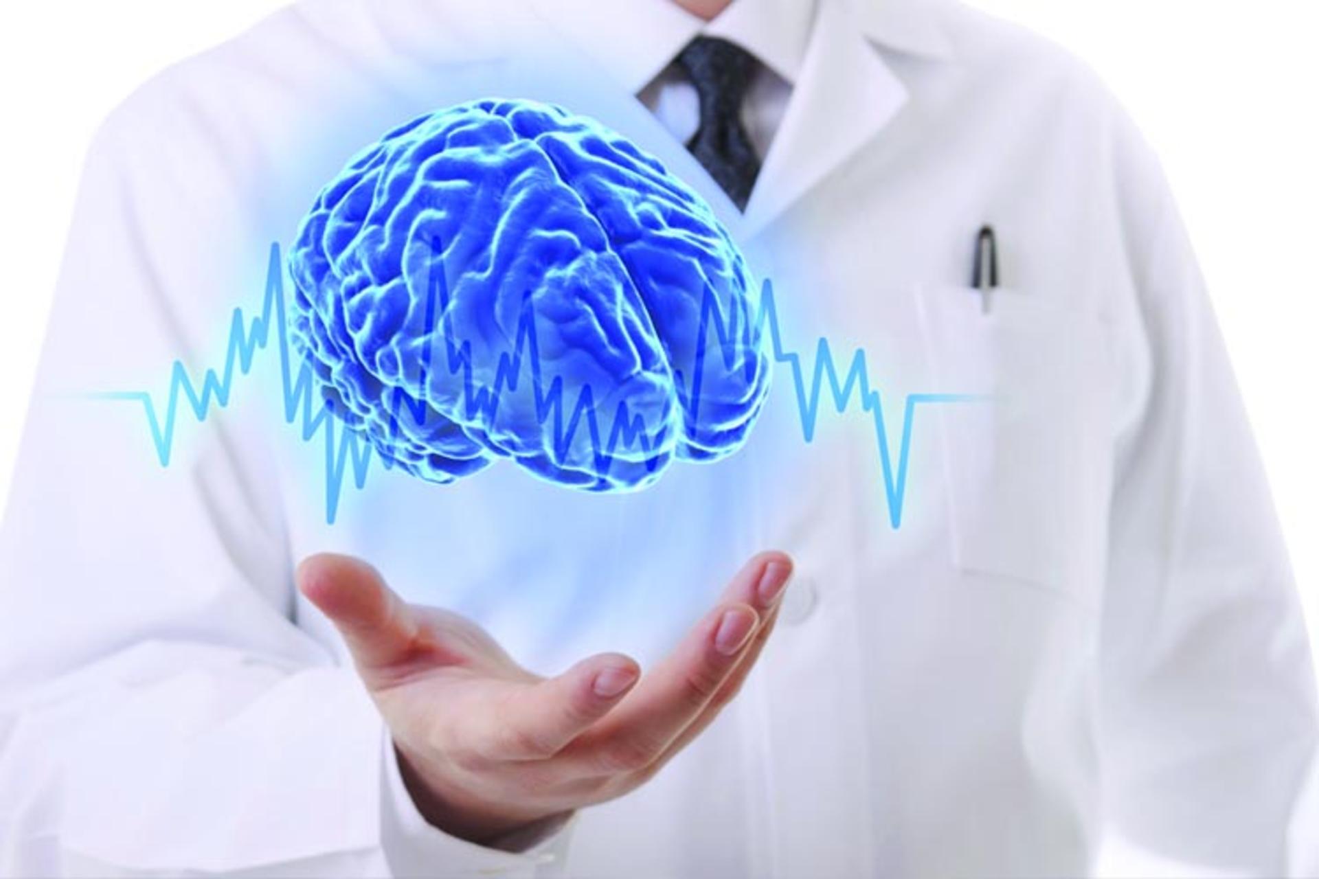 Brain