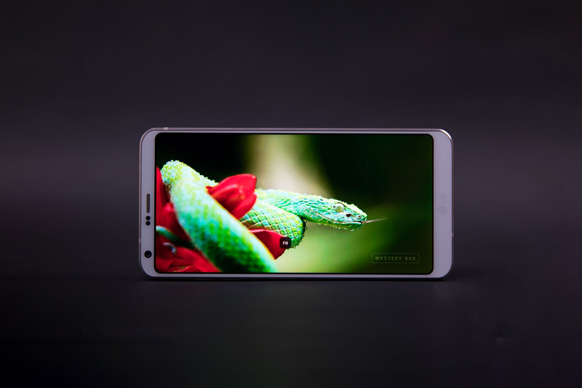 نمایشگر ال جی جی 6