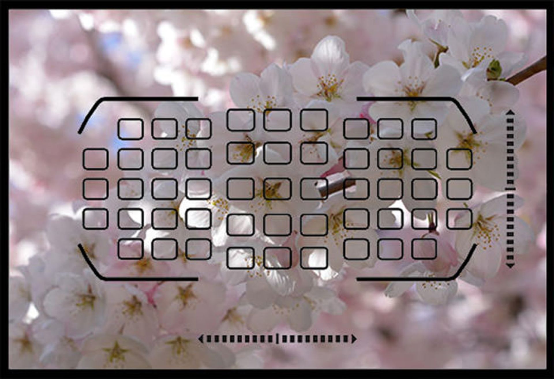 فوکوس خودکار دوربین