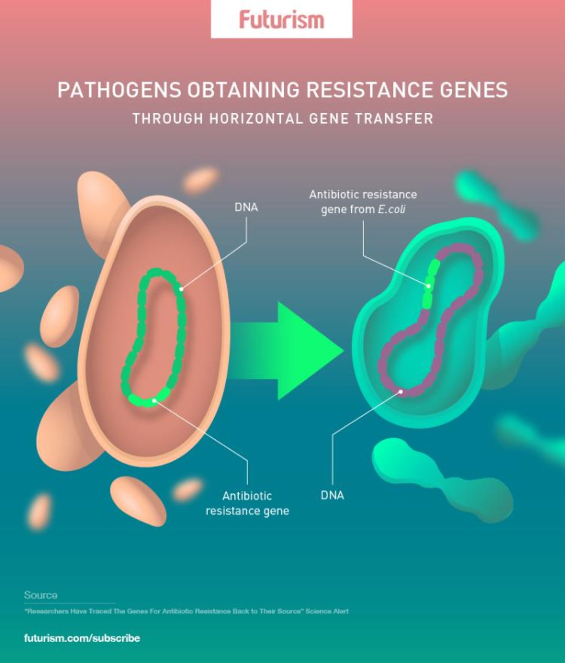 ژن آنتی بیوتیک