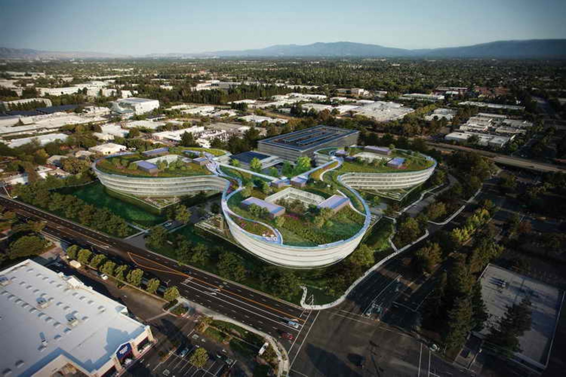 Silicon Valley's Unicorns