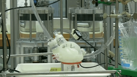 artificial_soft_heart_test