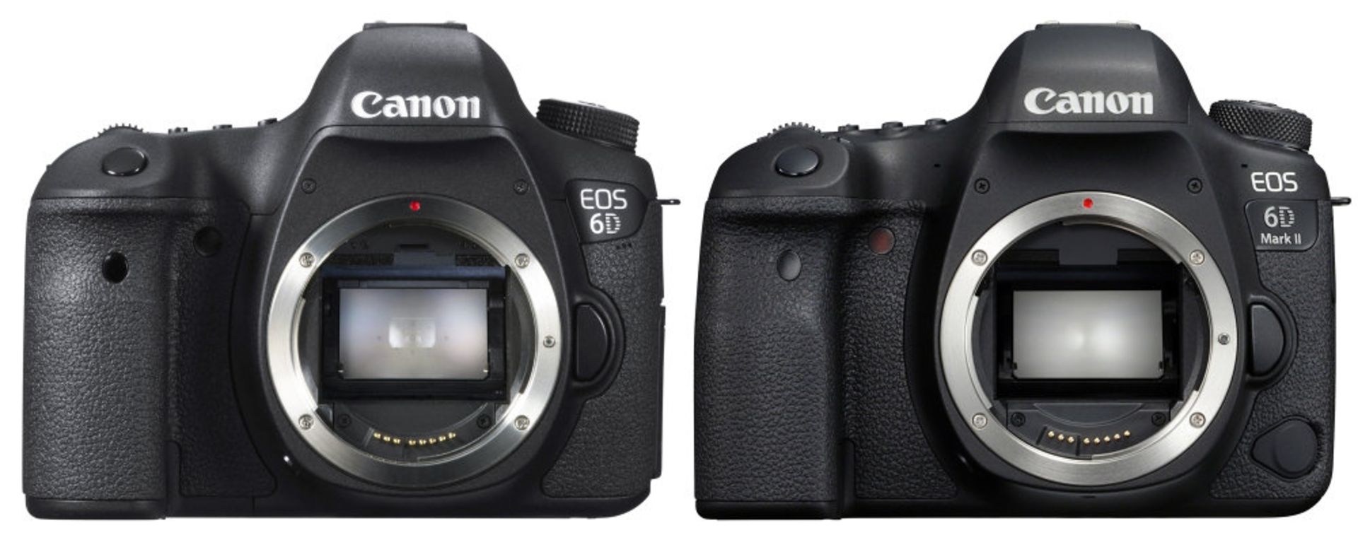 6D vs 6D mark II