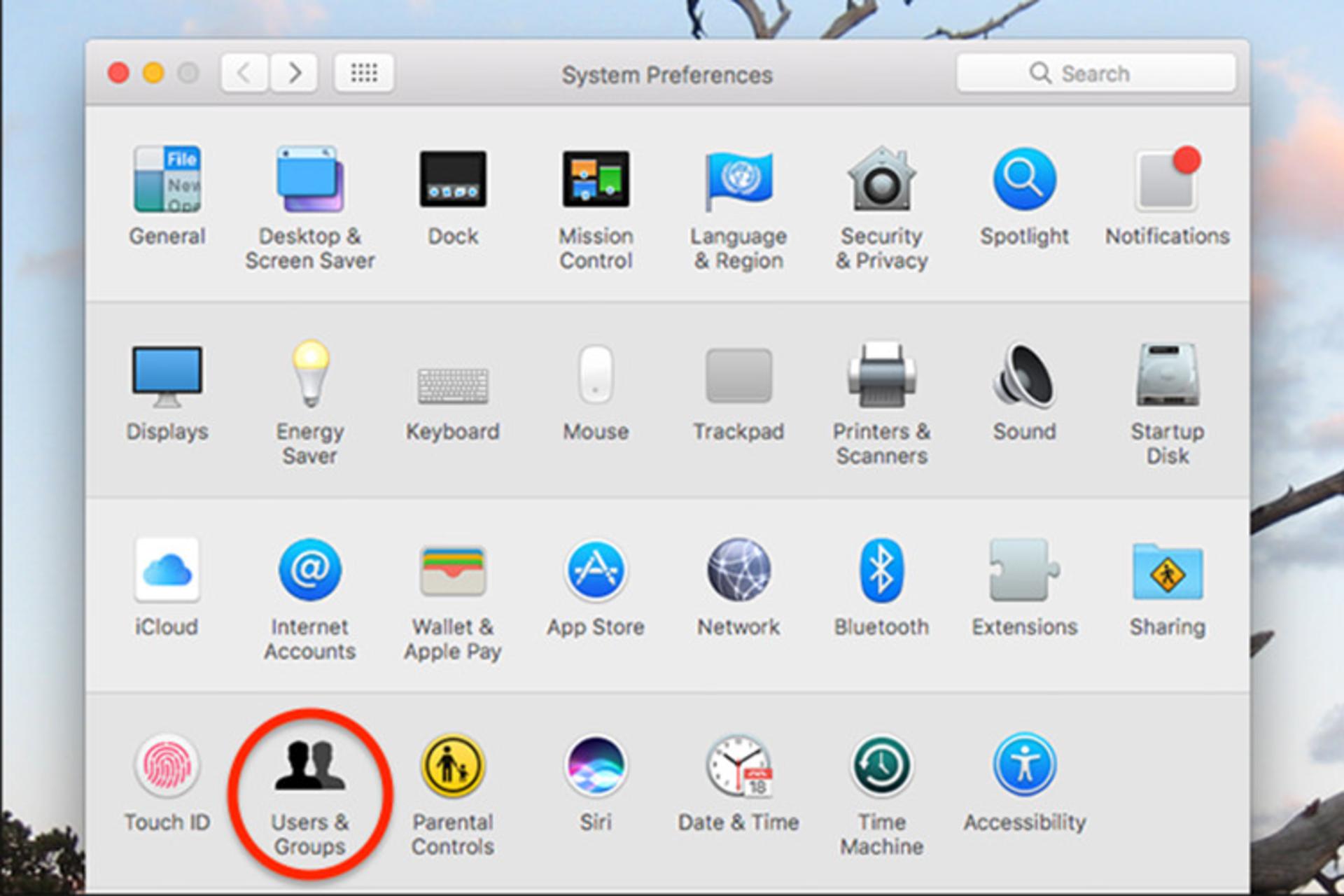 حساب چند کاربره در macOS