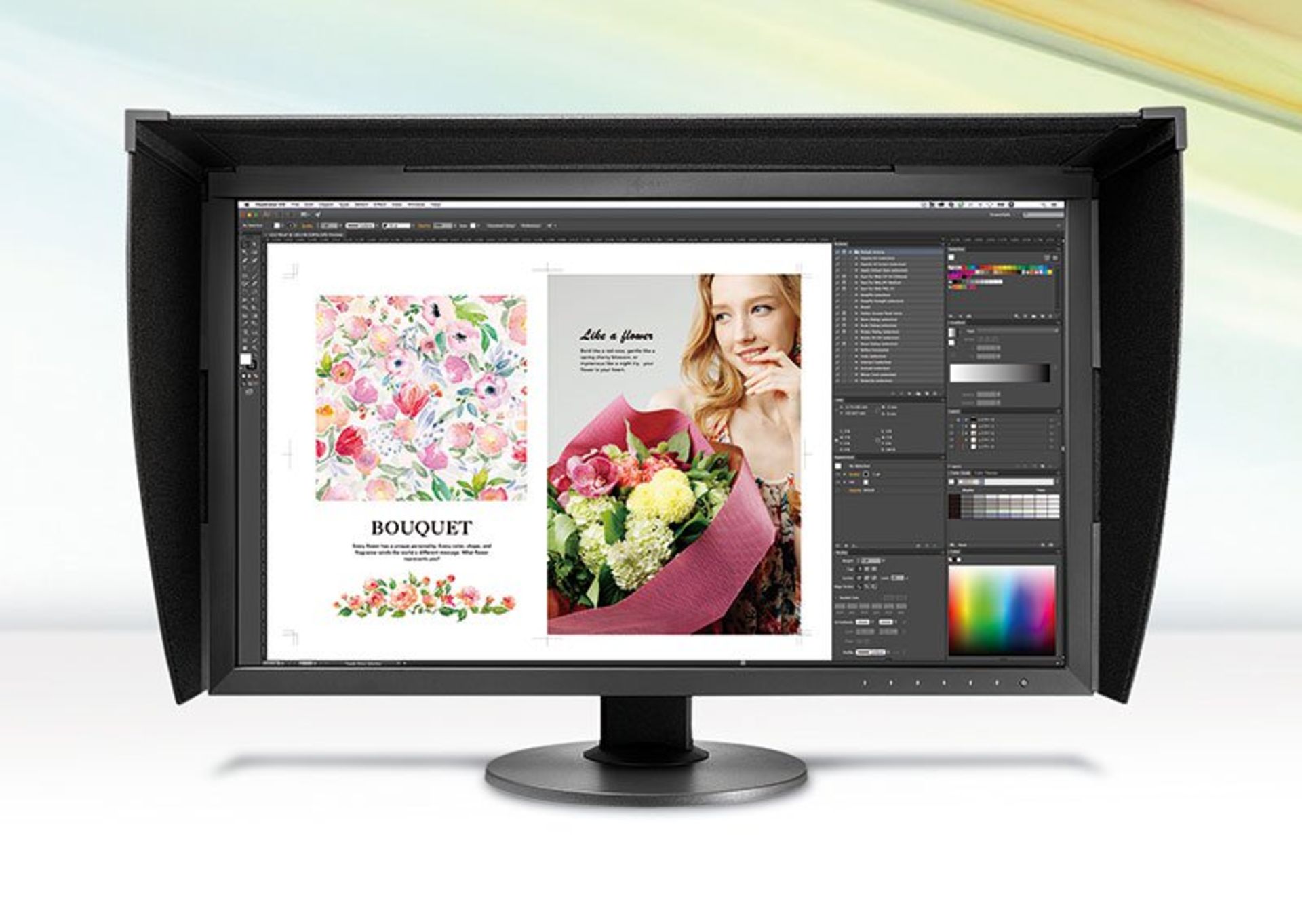 EIZO ColorEdge CG2730