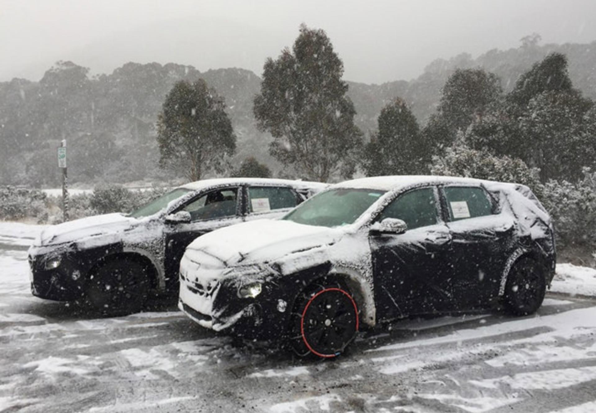 FE SUV