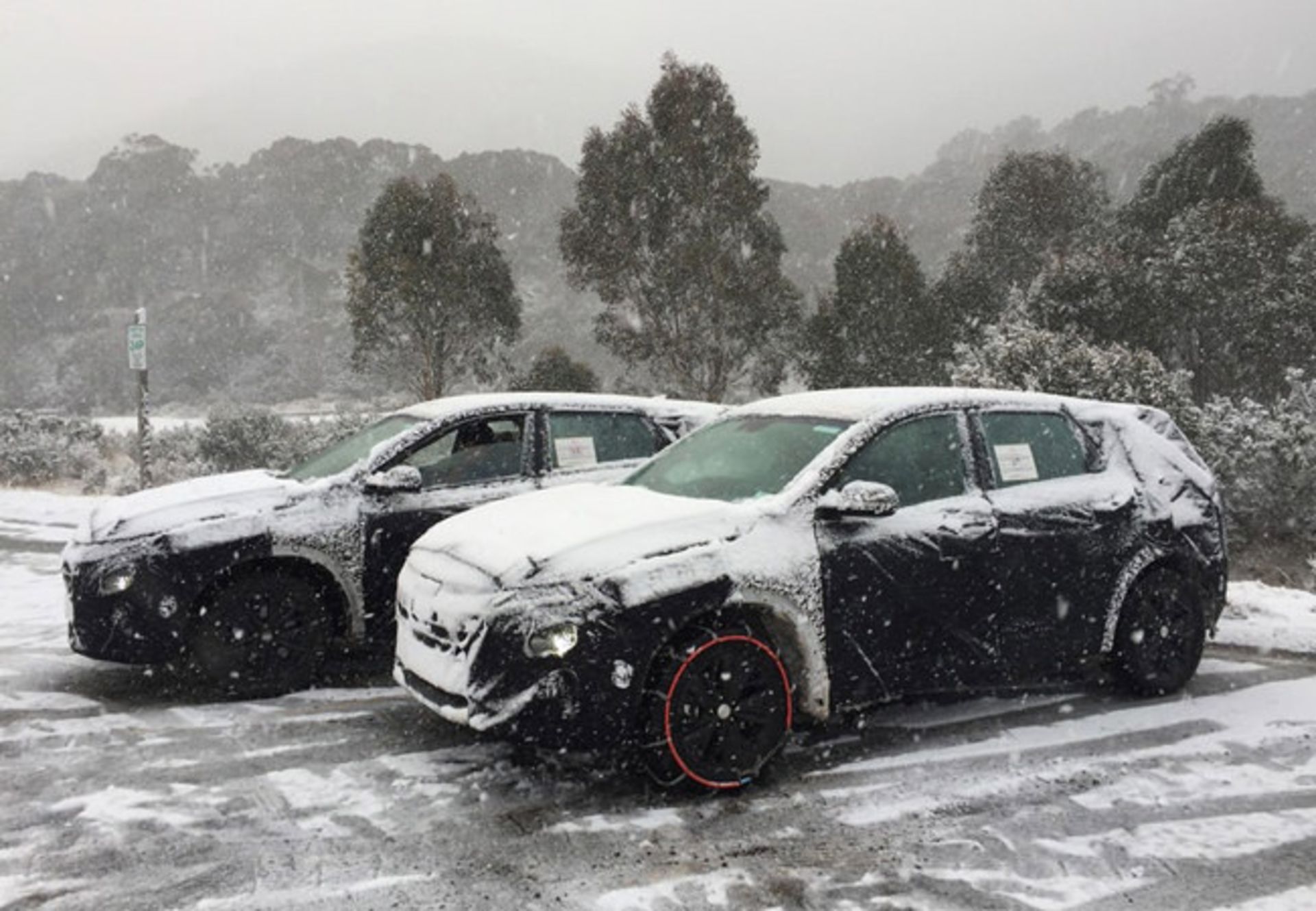FE SUV