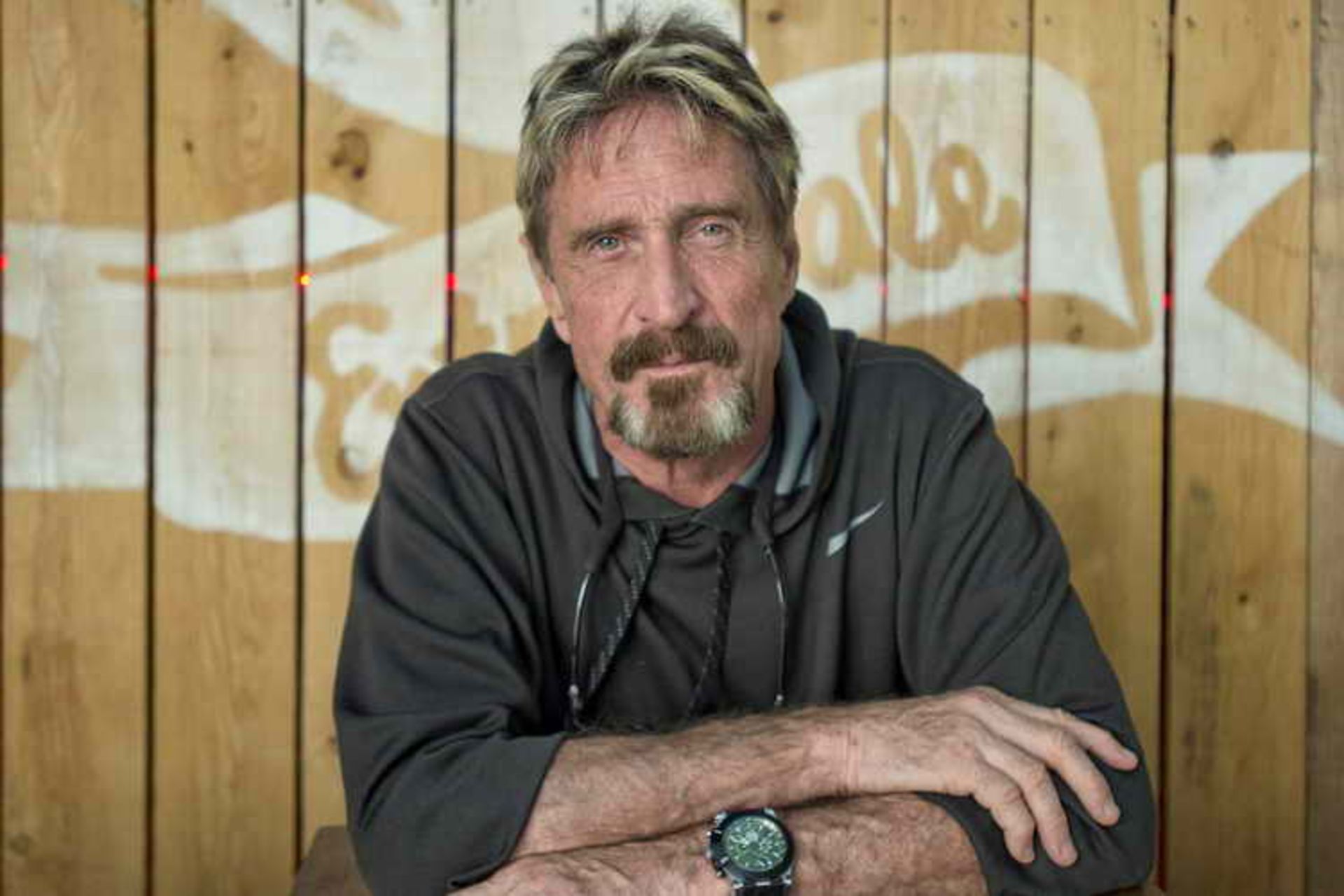 John McAfee Biography