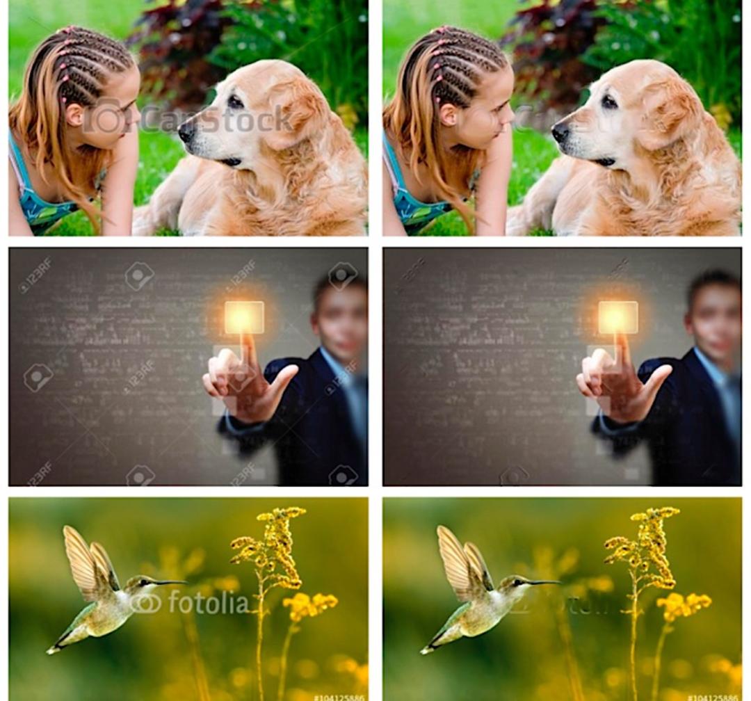 Watermark