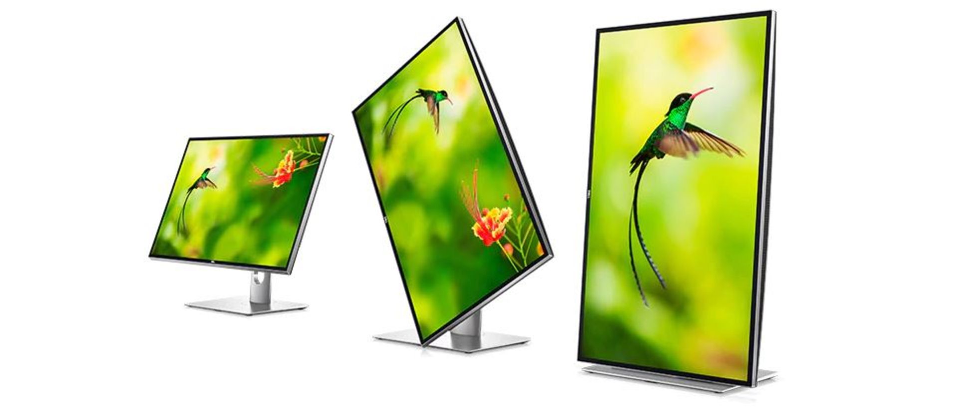 Dell 8K monitor