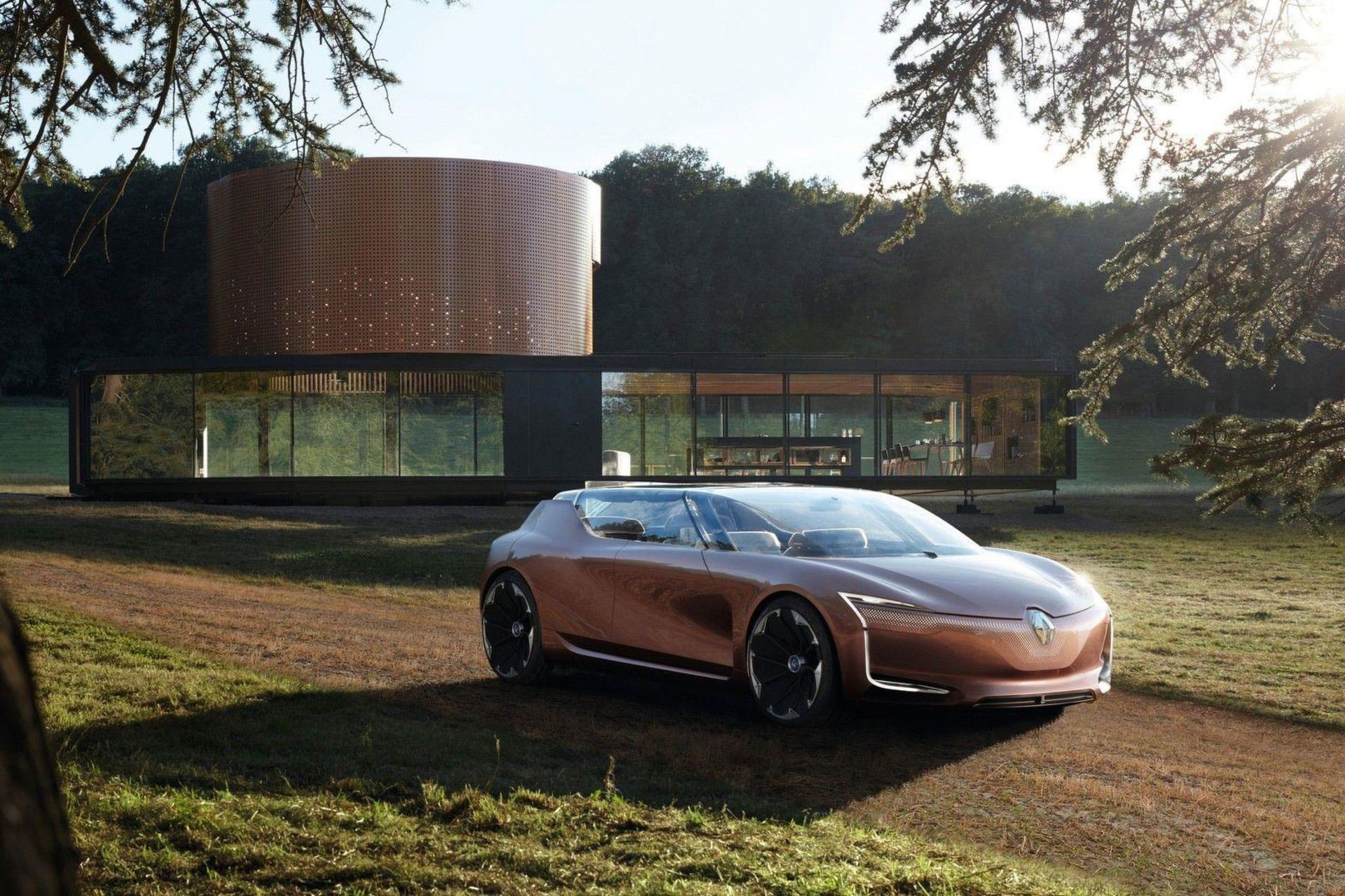 رنو سیمبیوز