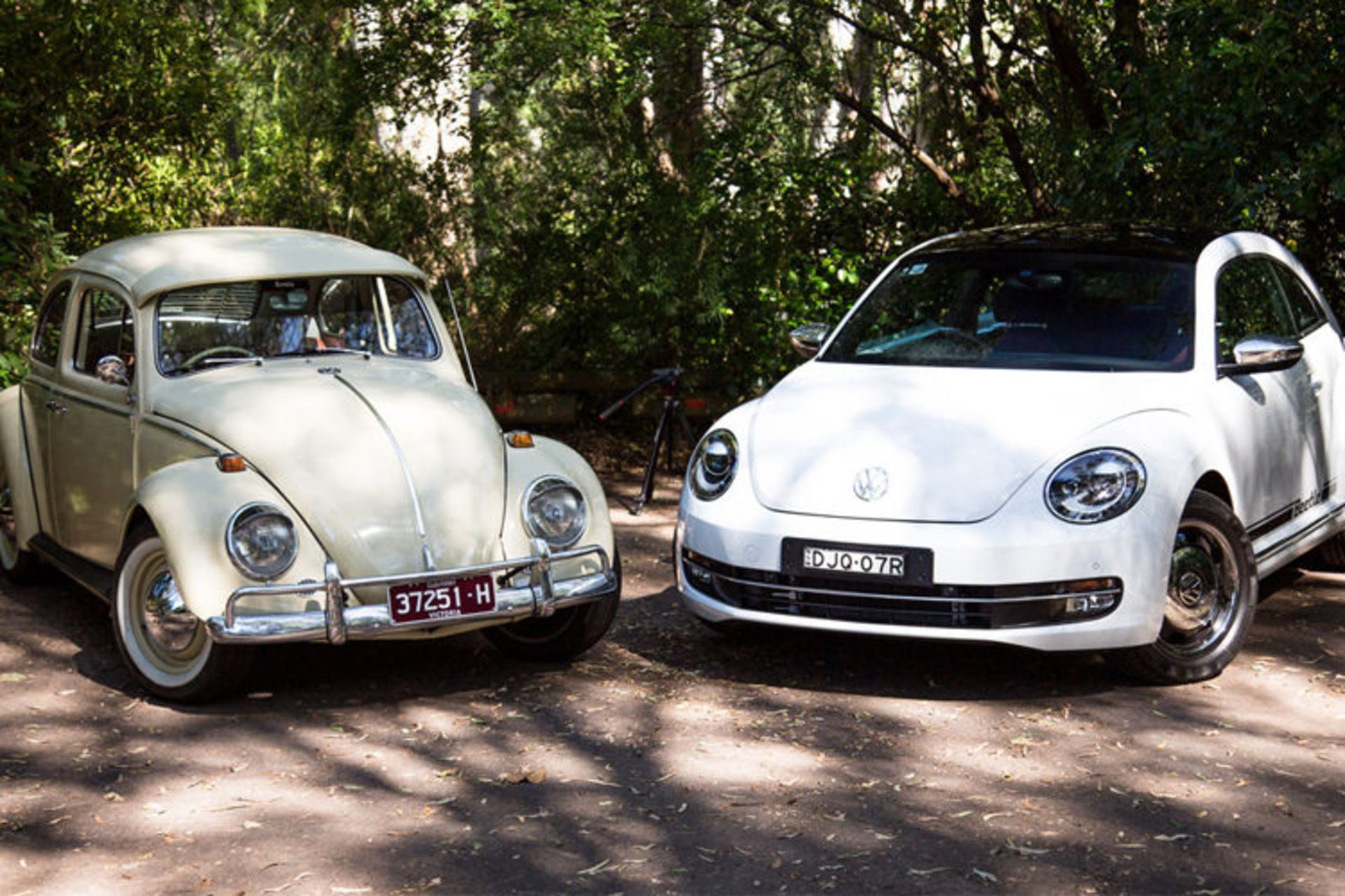 Volkswagen Beetle / فولکس‌واگن بیتل