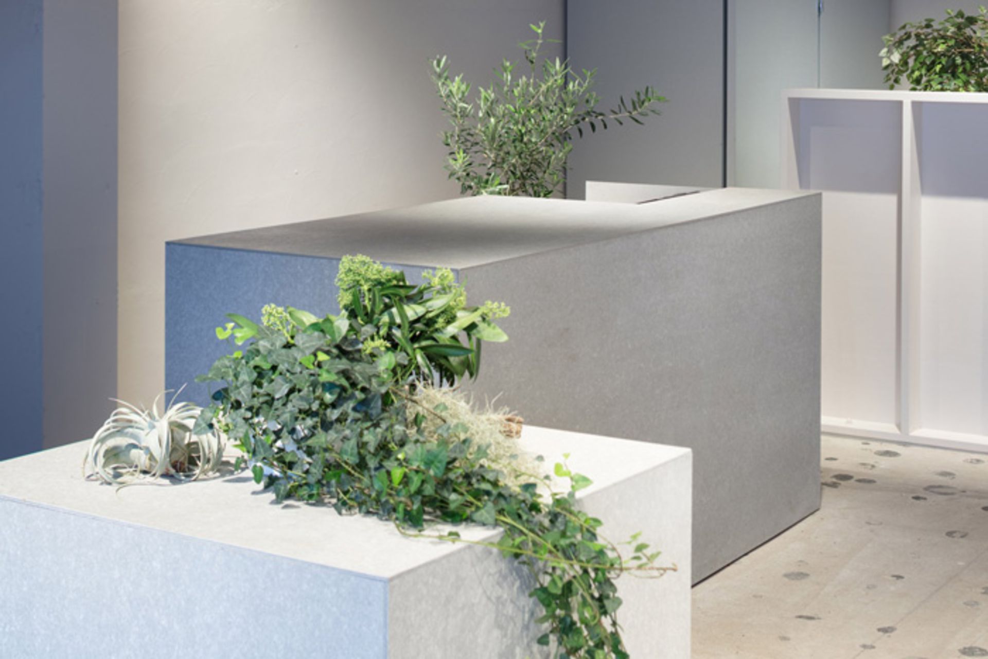 دکوراسیون داخلی گل‌فروشی