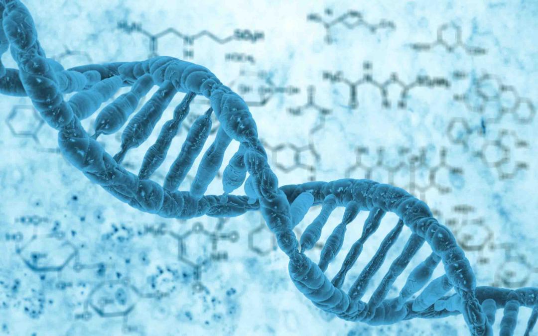 dna