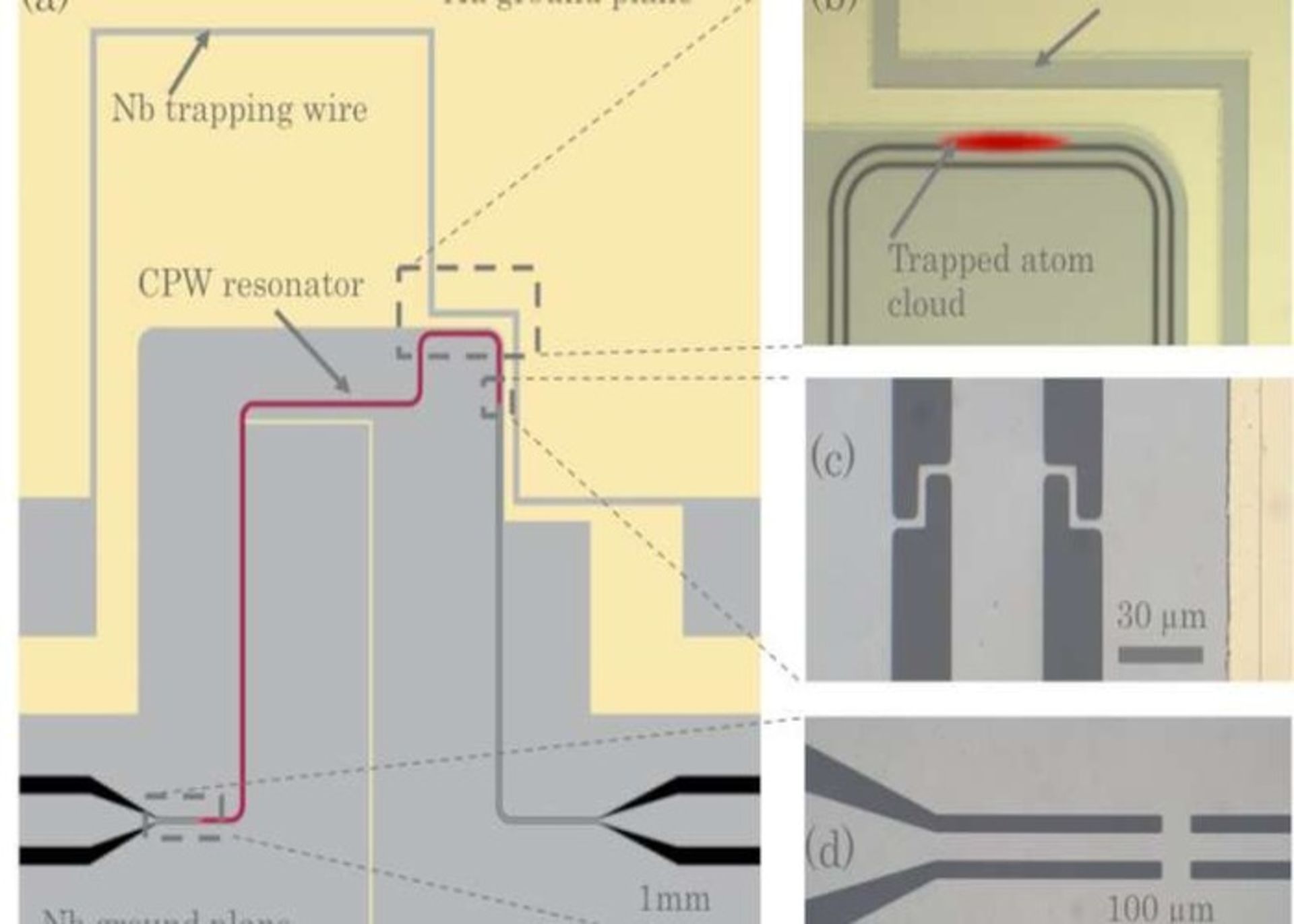 پردازش کوانتومی