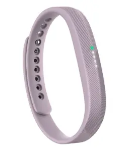 فیت بیت Flex 2-1