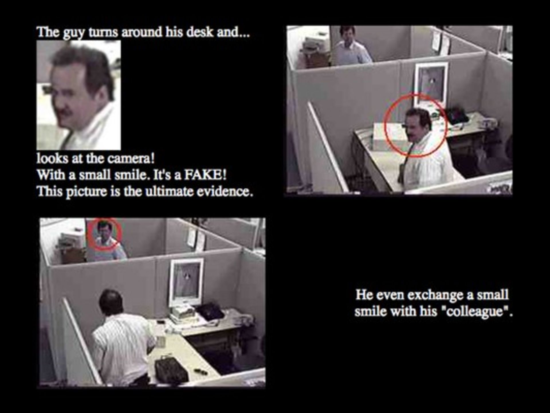 ویدیو پربازدید وینی لیچاردی