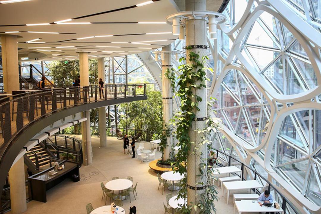 Amazon Spheres