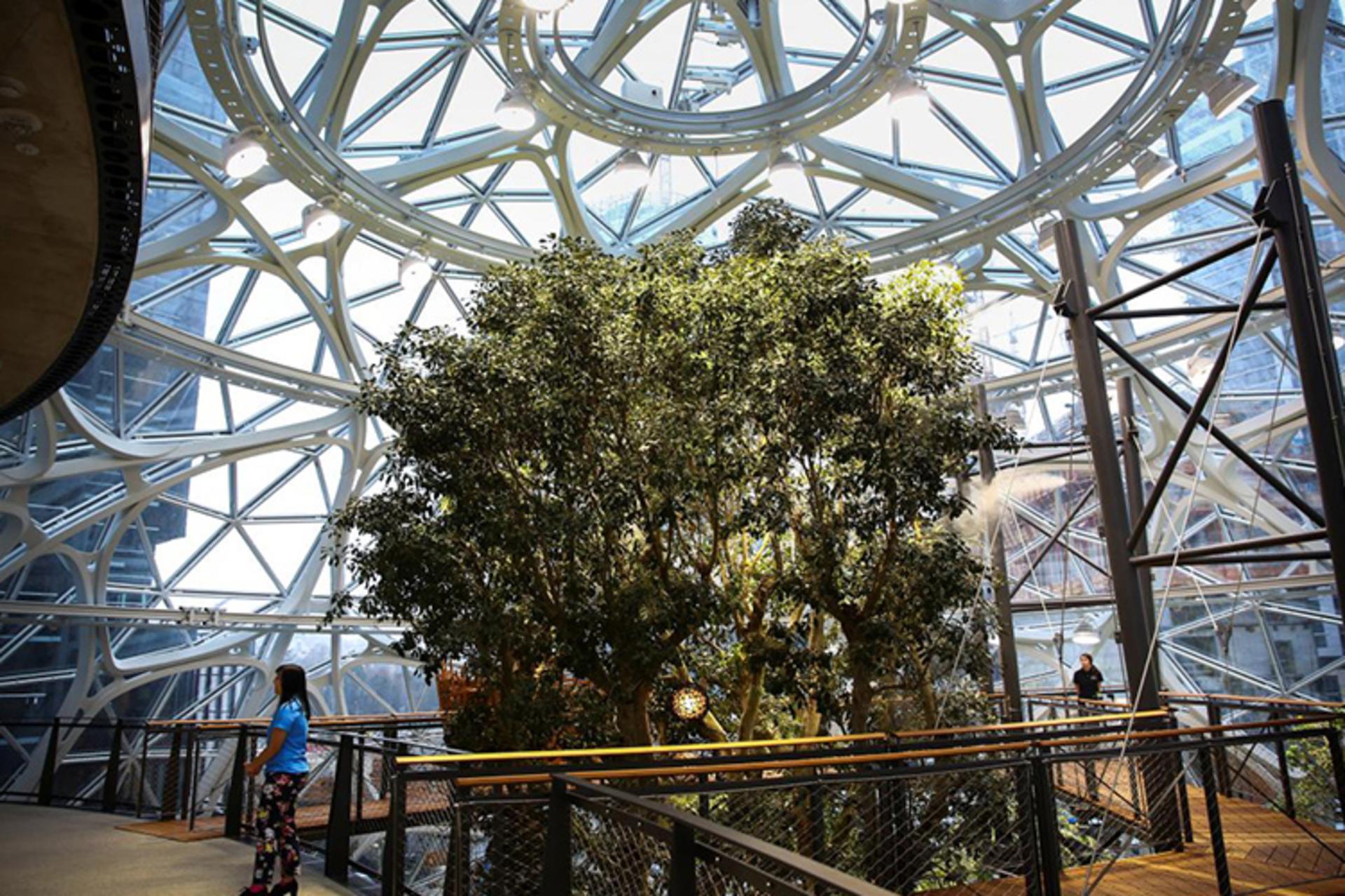 Amazon Spheres