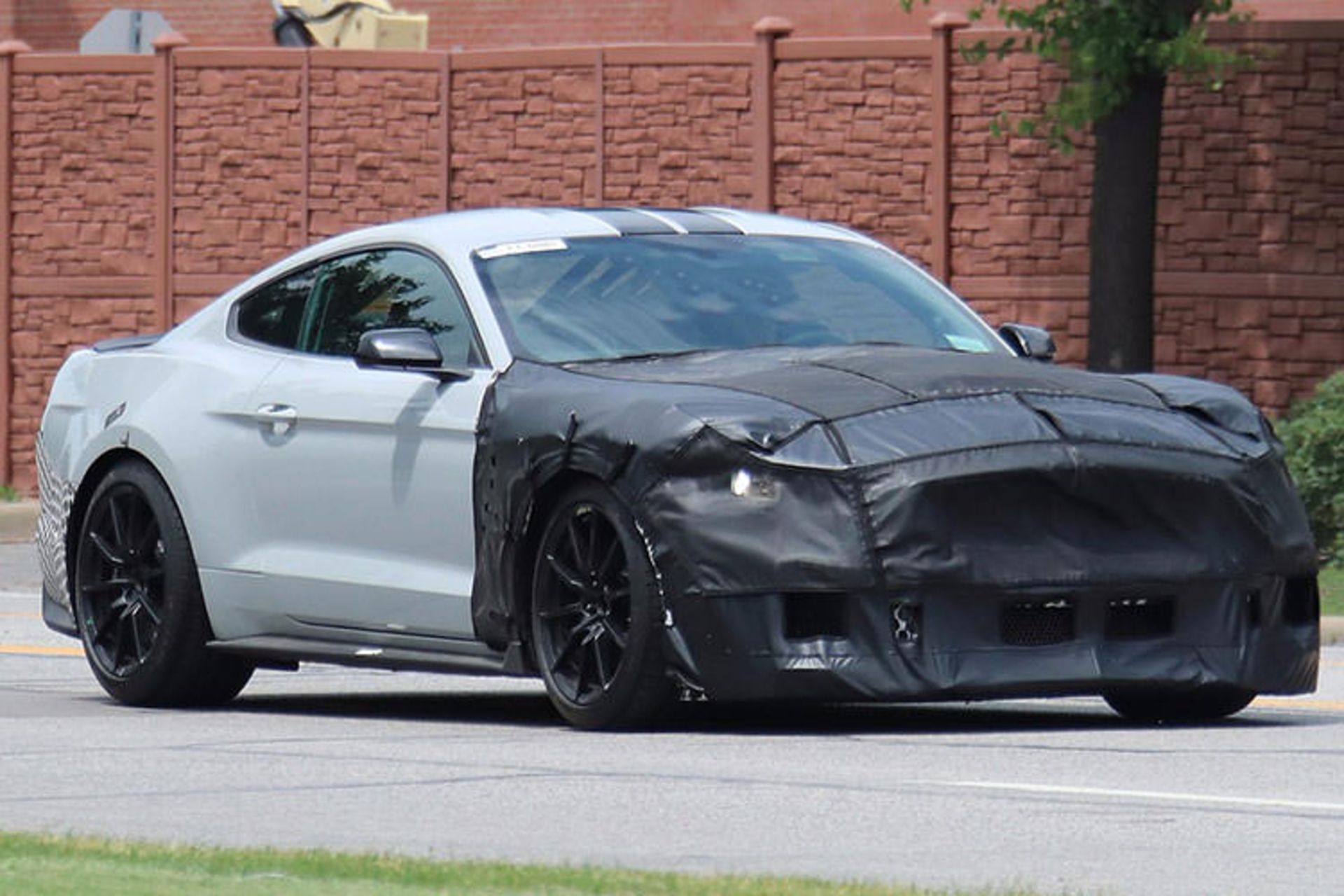 ford mustang shelby GT500/ فورد موستانگ شلبی GT500