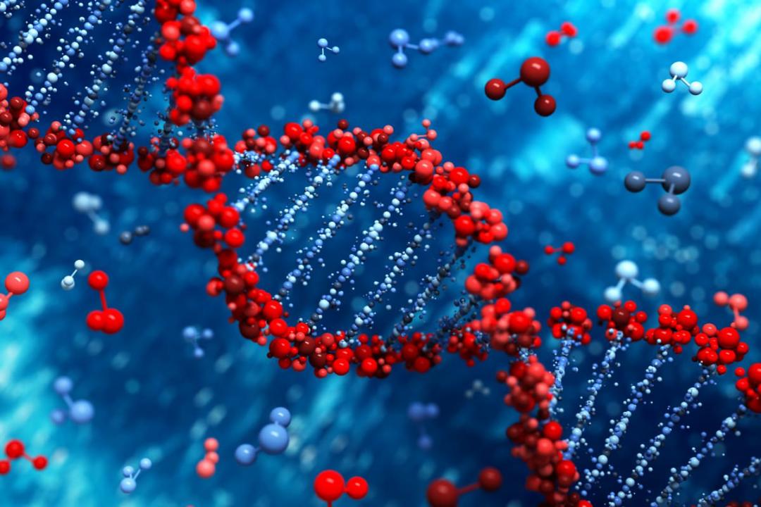 ژنتیک / genetic