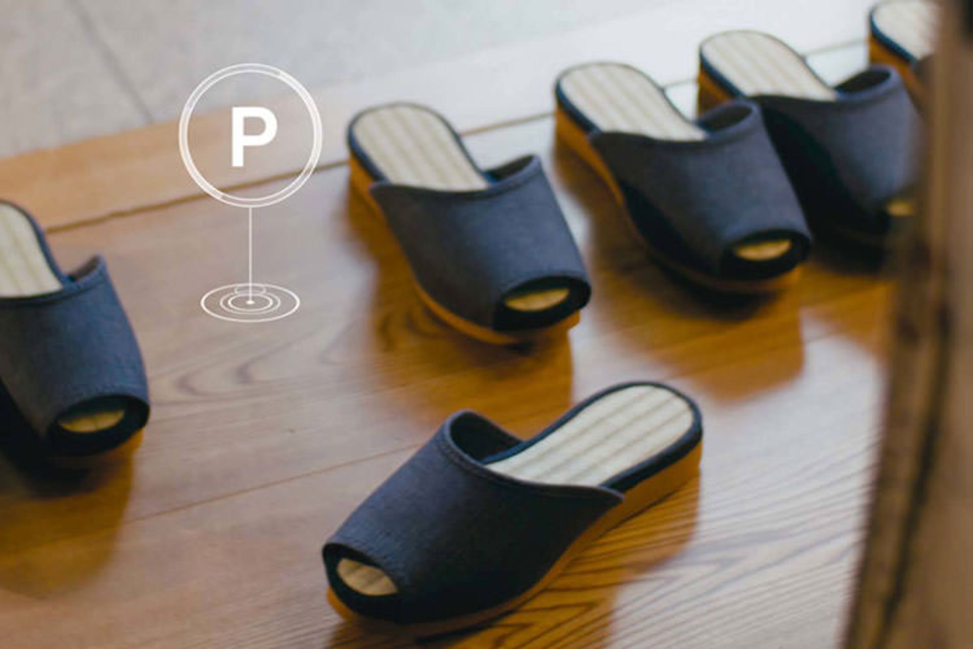 پروپایلوت ریوکان نیسان / nissan Ryokan 