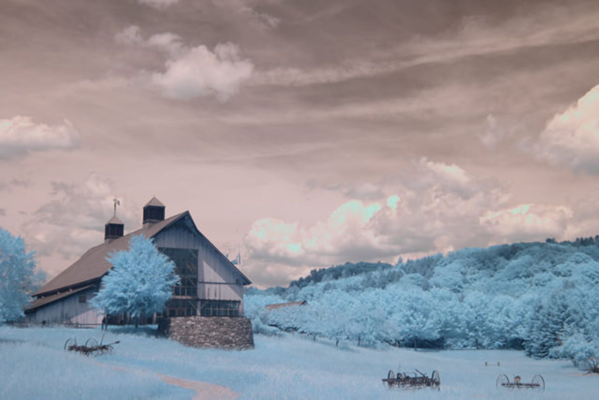 لایف‌پیکسل (LifePixel)