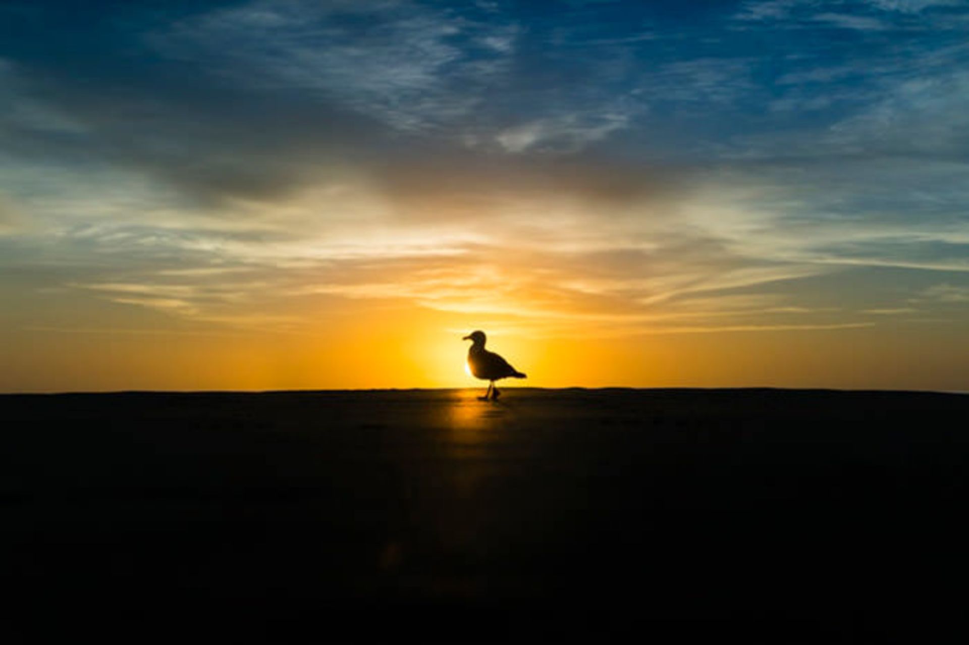 نمونه تصاویر لنز Travegon 50mm f/2.5