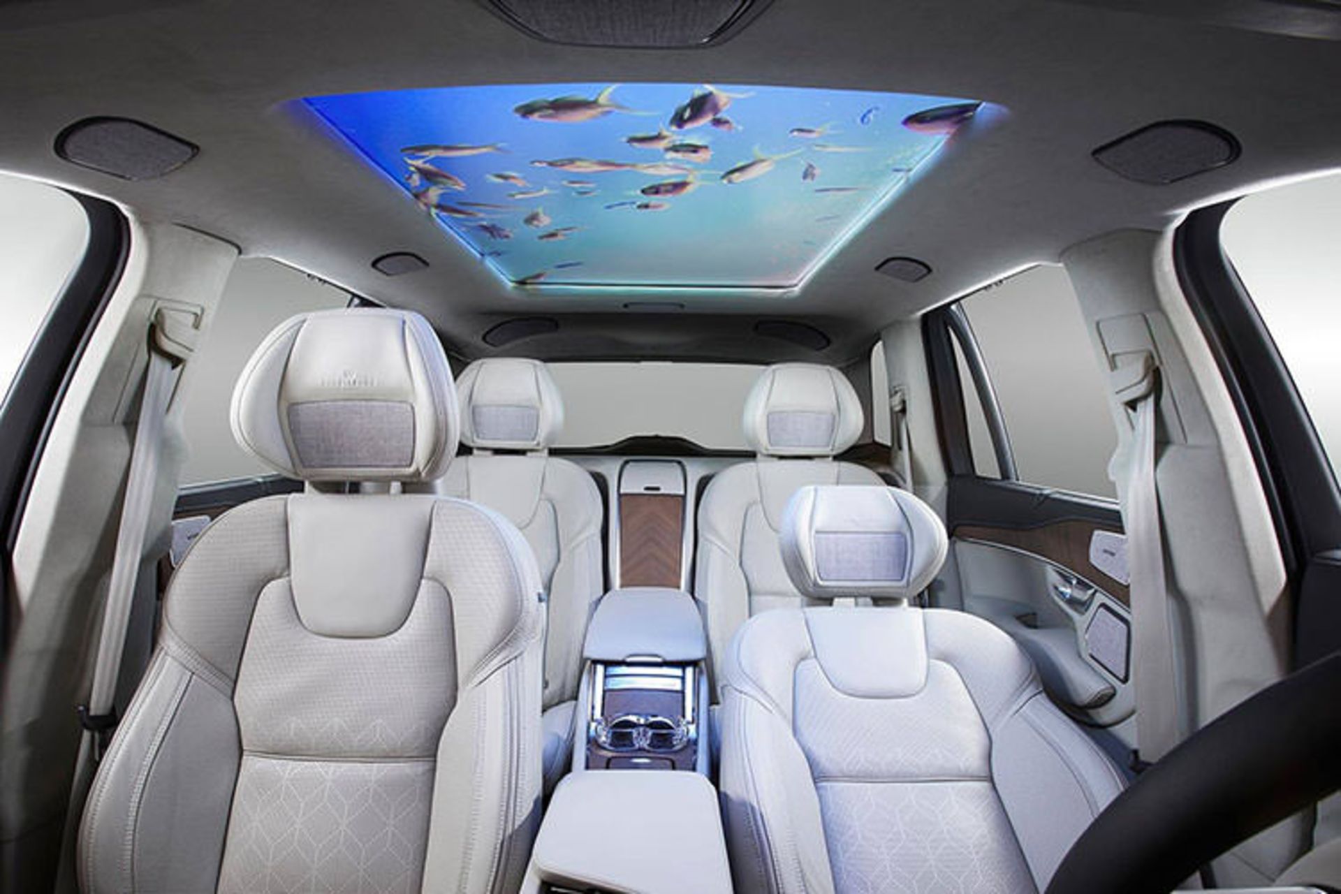 نمایشگر سقف هارمن/ harman