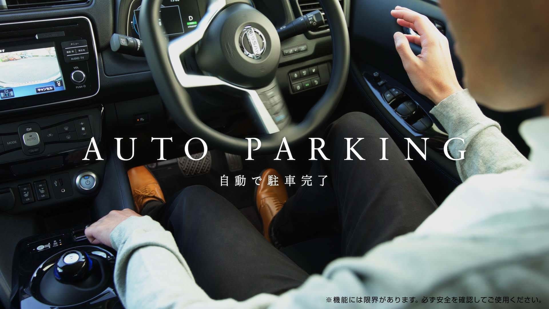 پروپایلوت ریوکان نیسان / nissan Ryokan 