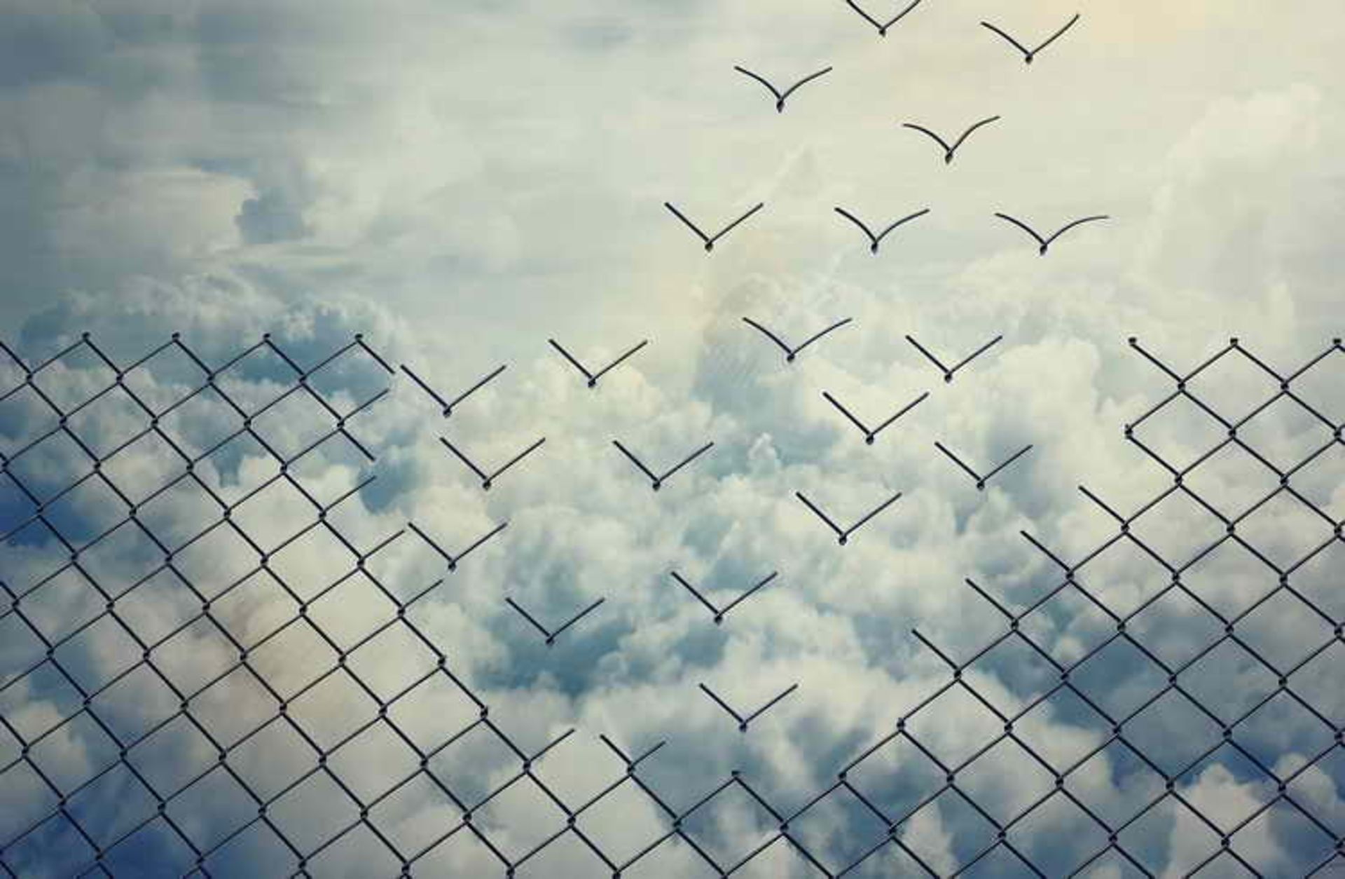  KPIs During Digital Transformation