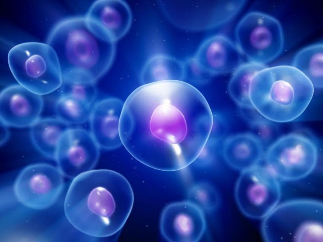 ریبونوکلوئیک اسید / RNA