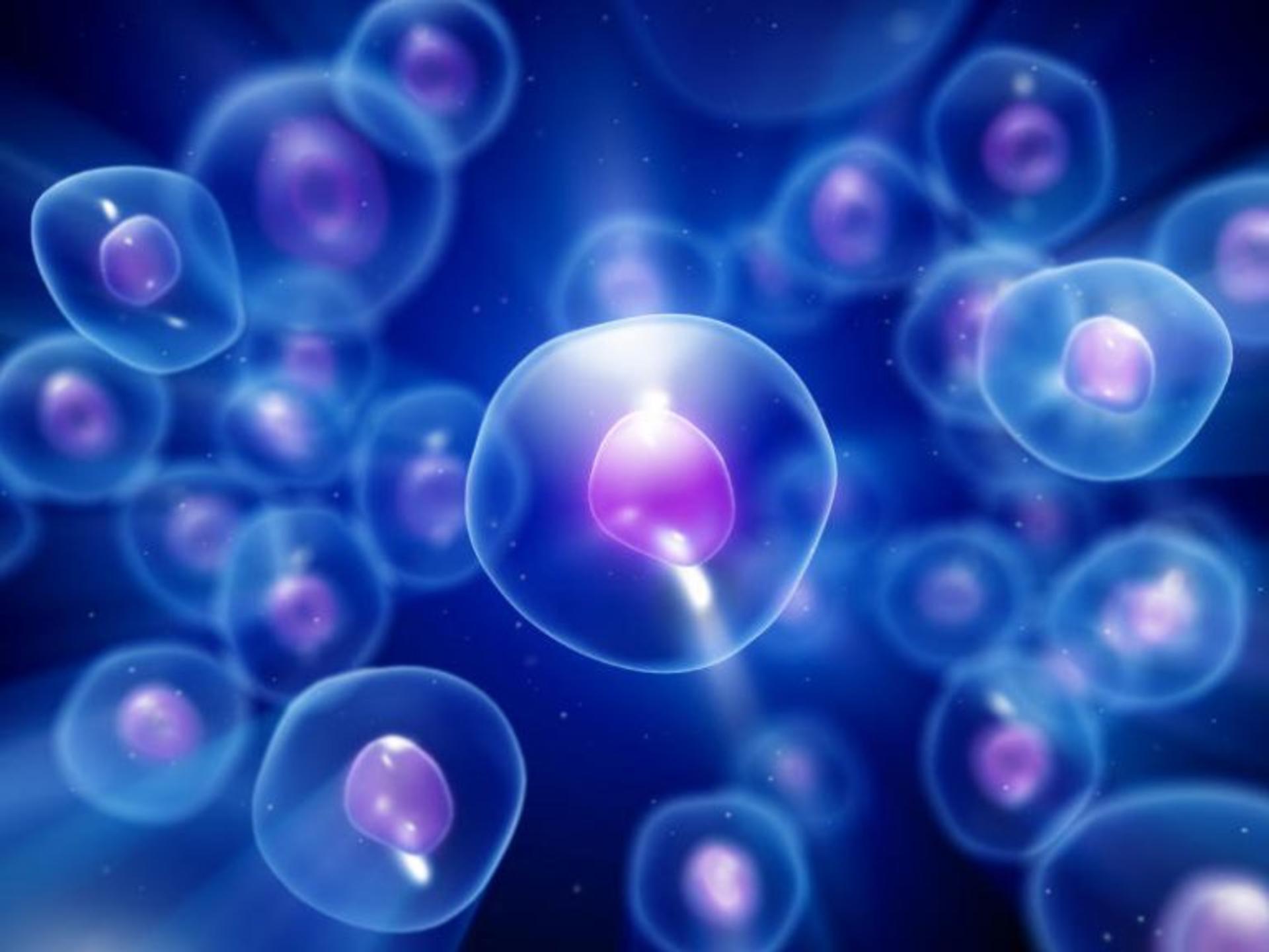 ریبونوکلوئیک اسید / RNA