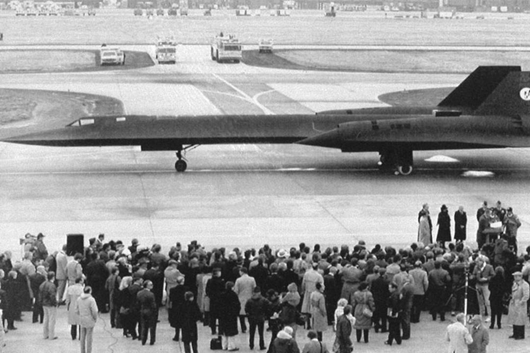 blackbird