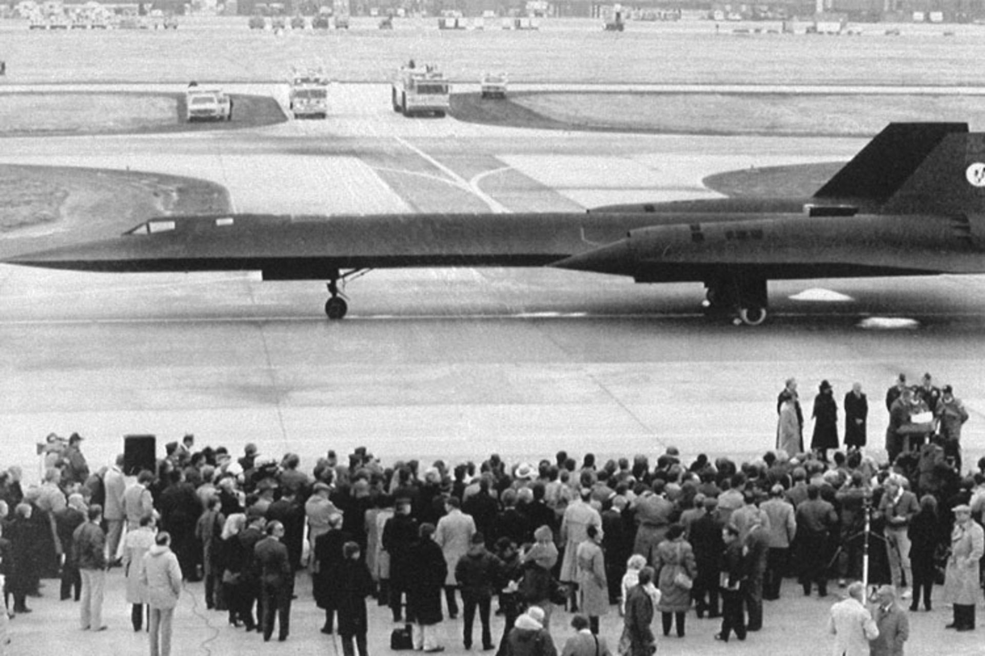 blackbird