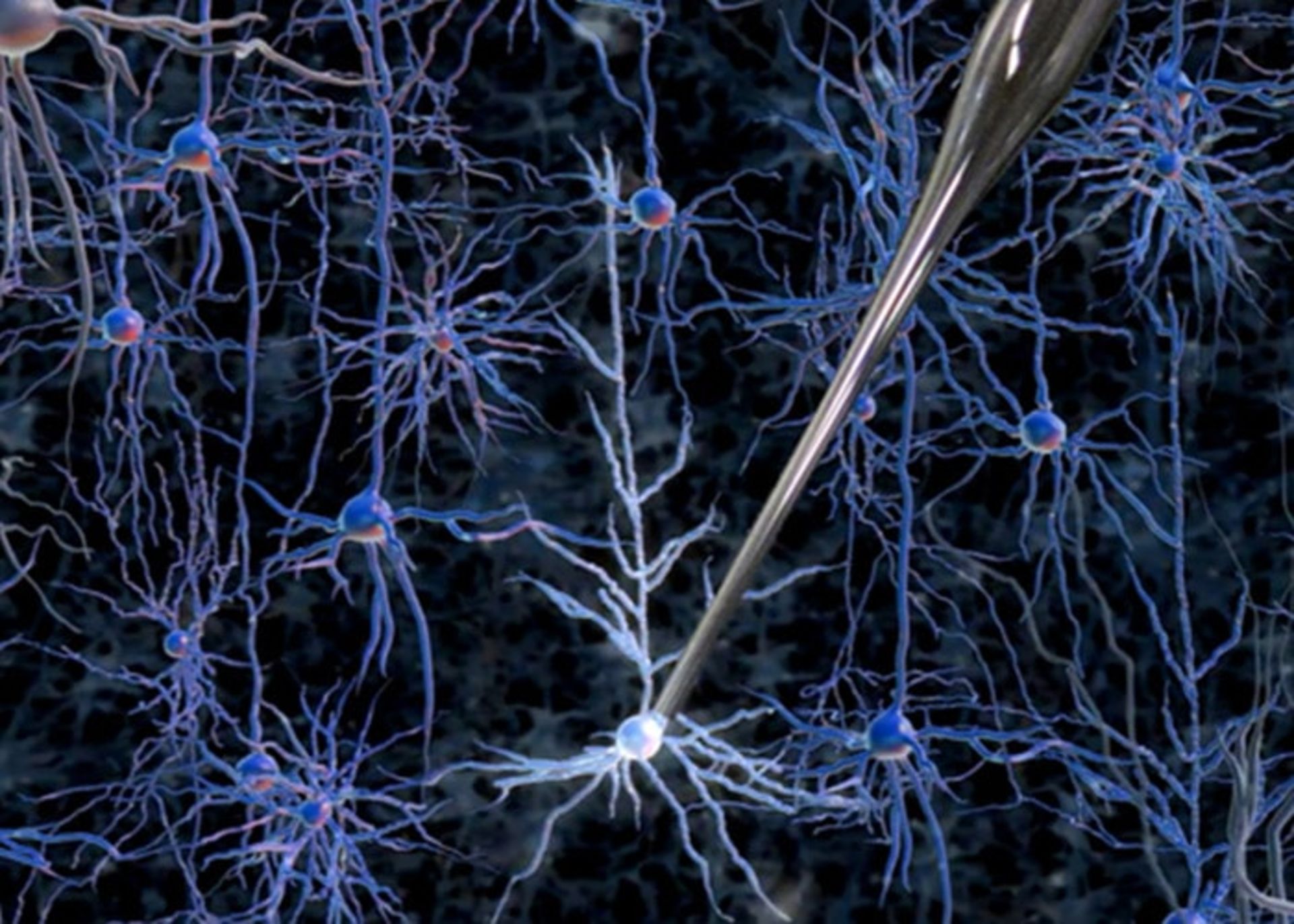 تکنیک PATCH-CLAMP
