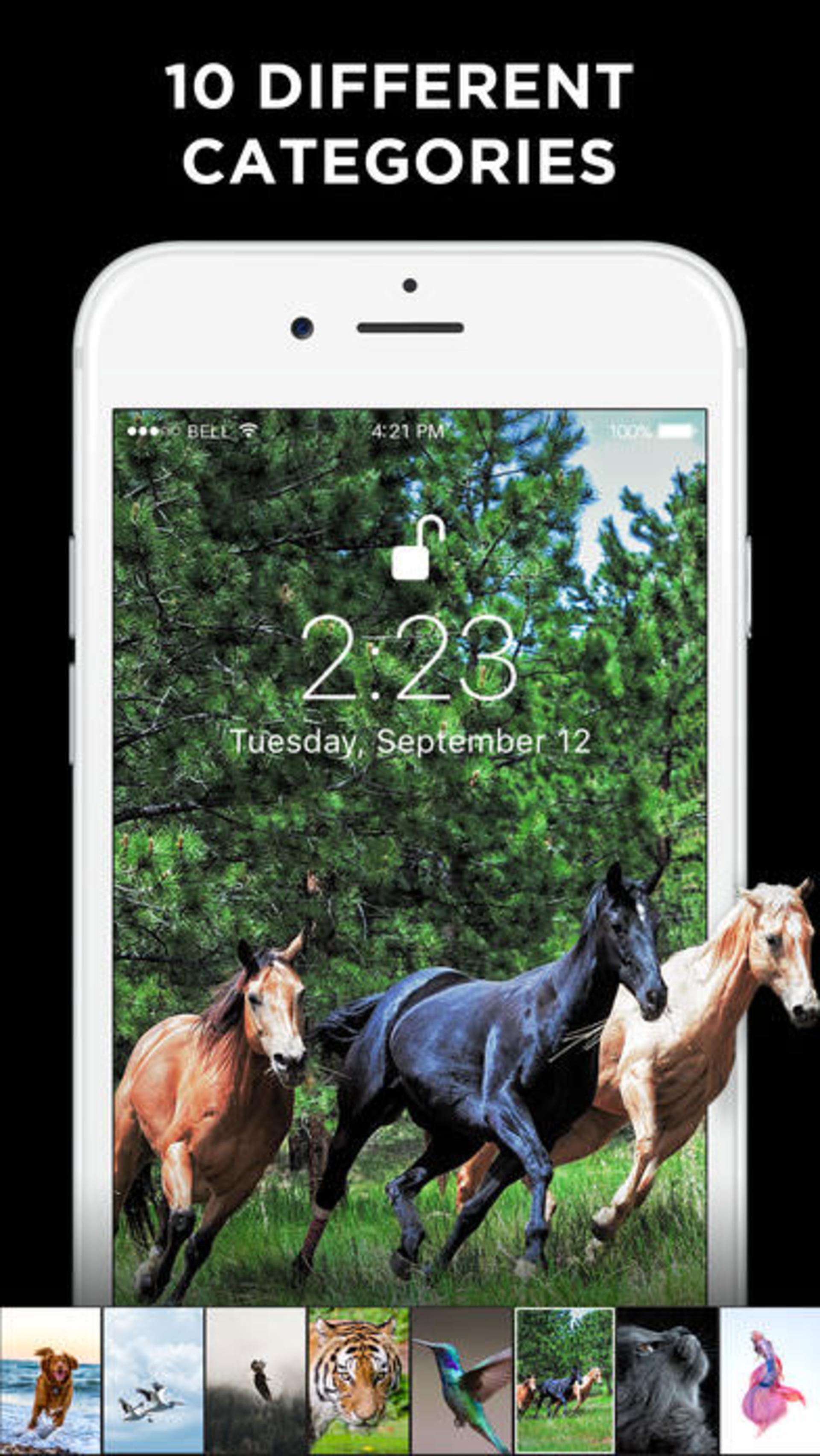 Wallpaper Maker